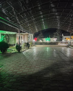 Ak Orgo House